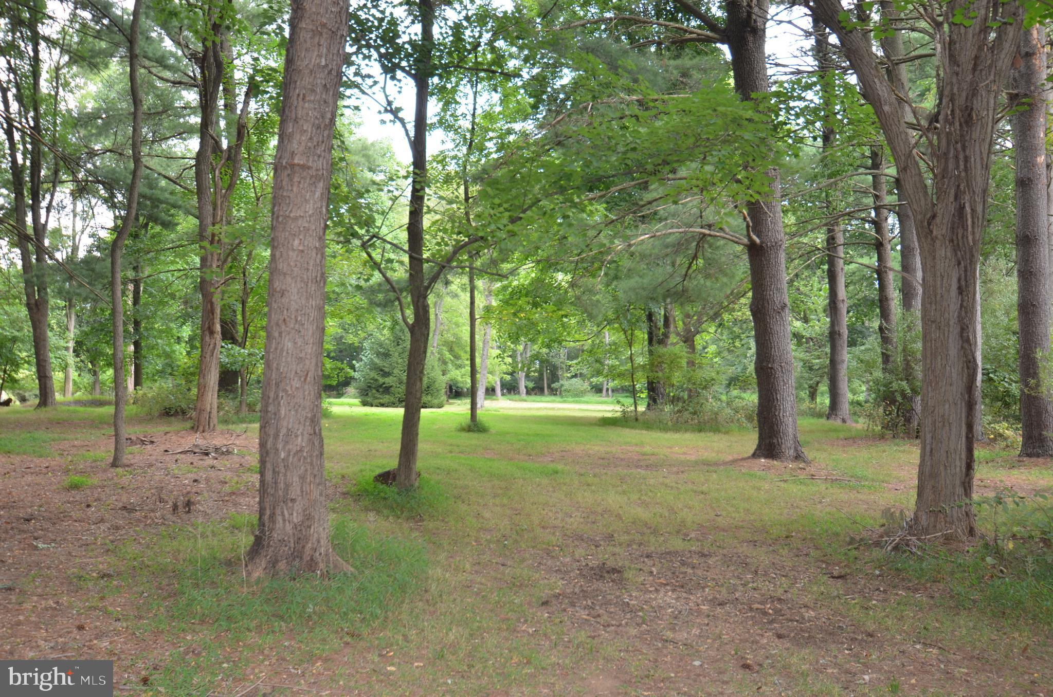 Bolyn Road Purcellville, VA 20132 - Photo 15 of 15 Paths in the pines