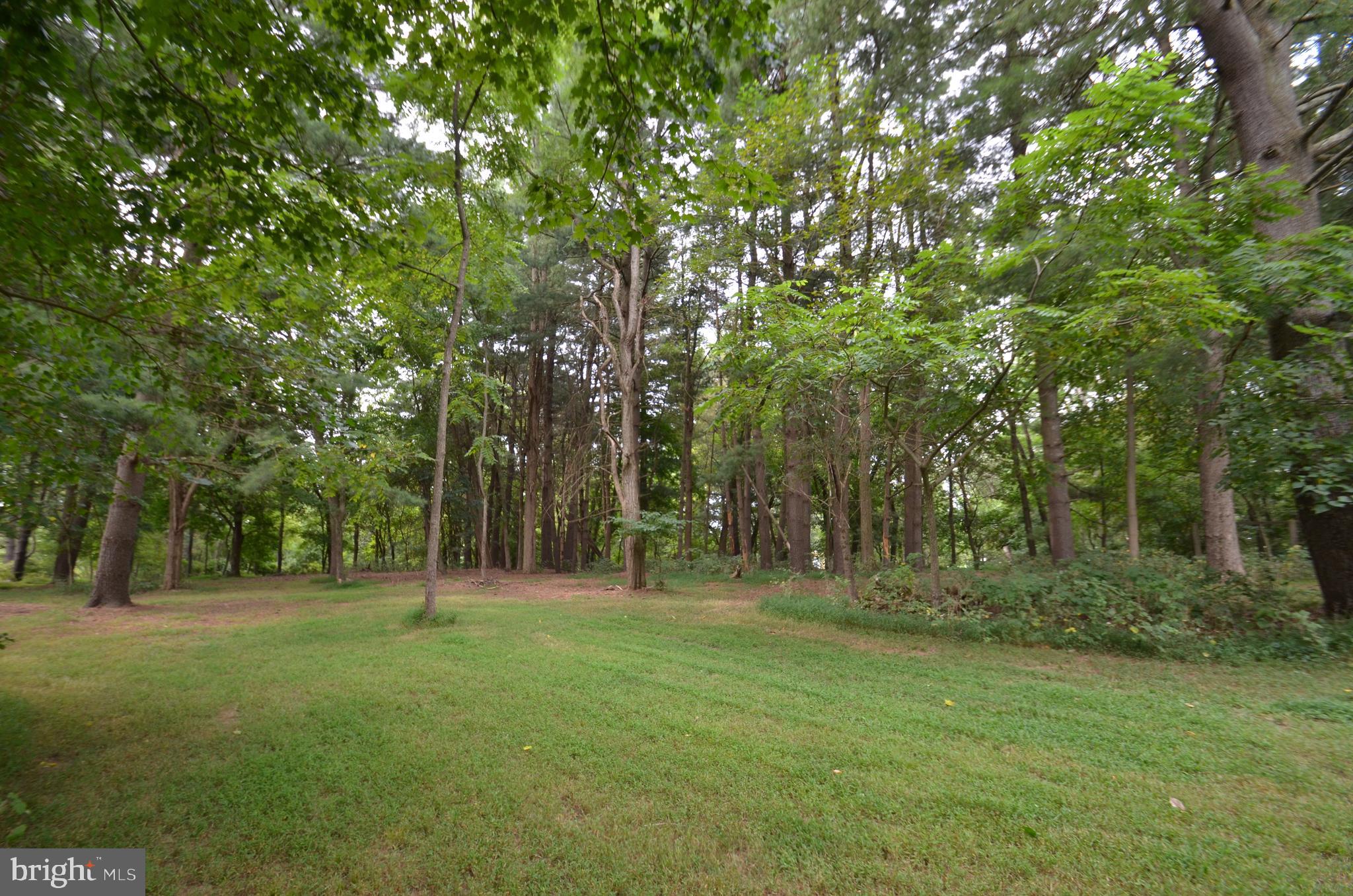 Bolyn Road Purcellville, VA 20132 - Photo 6 of 15 Open toward paths