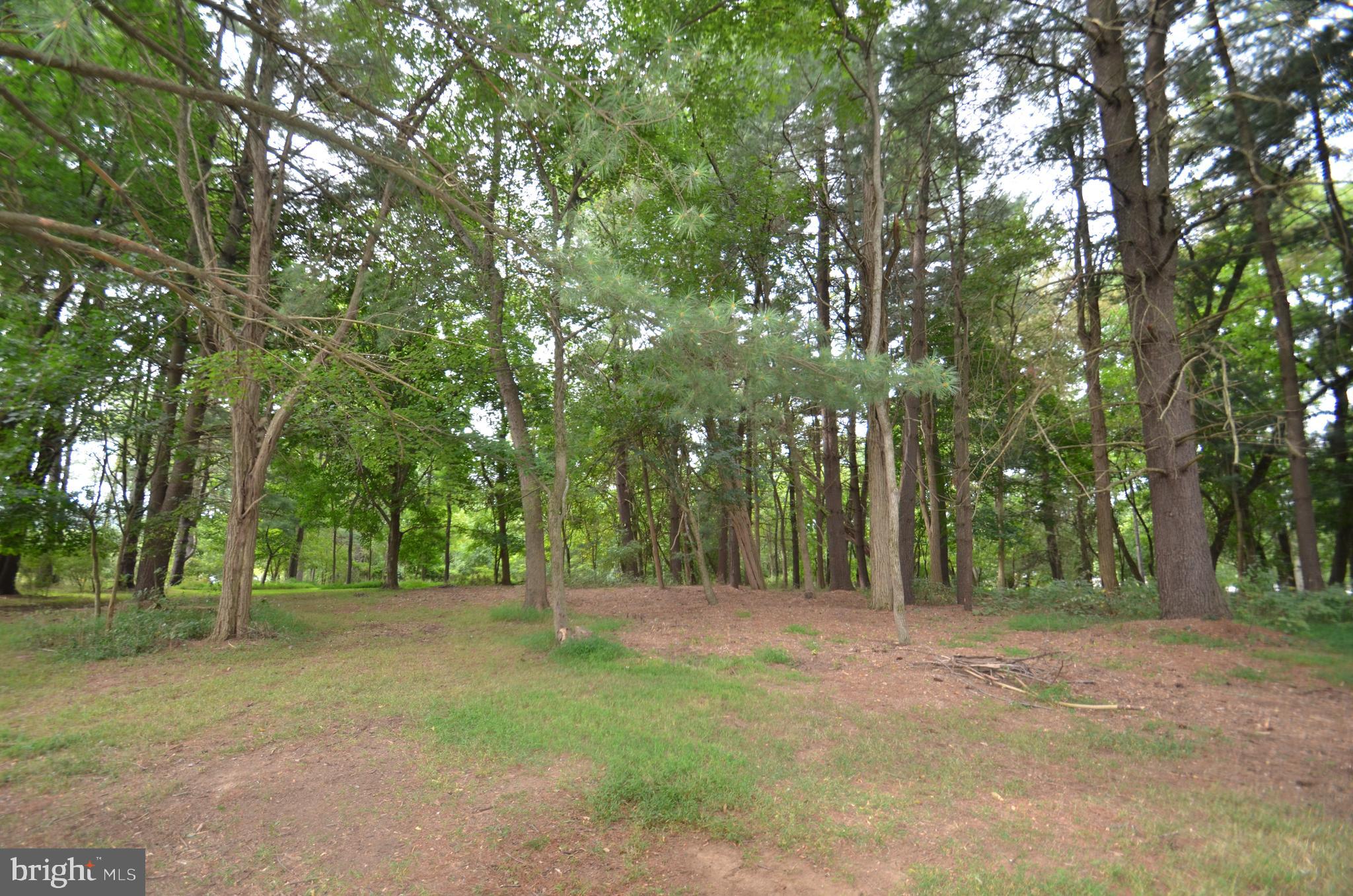 Bolyn Road Purcellville, VA 20132 - Photo 8 of 15 Pines toward front