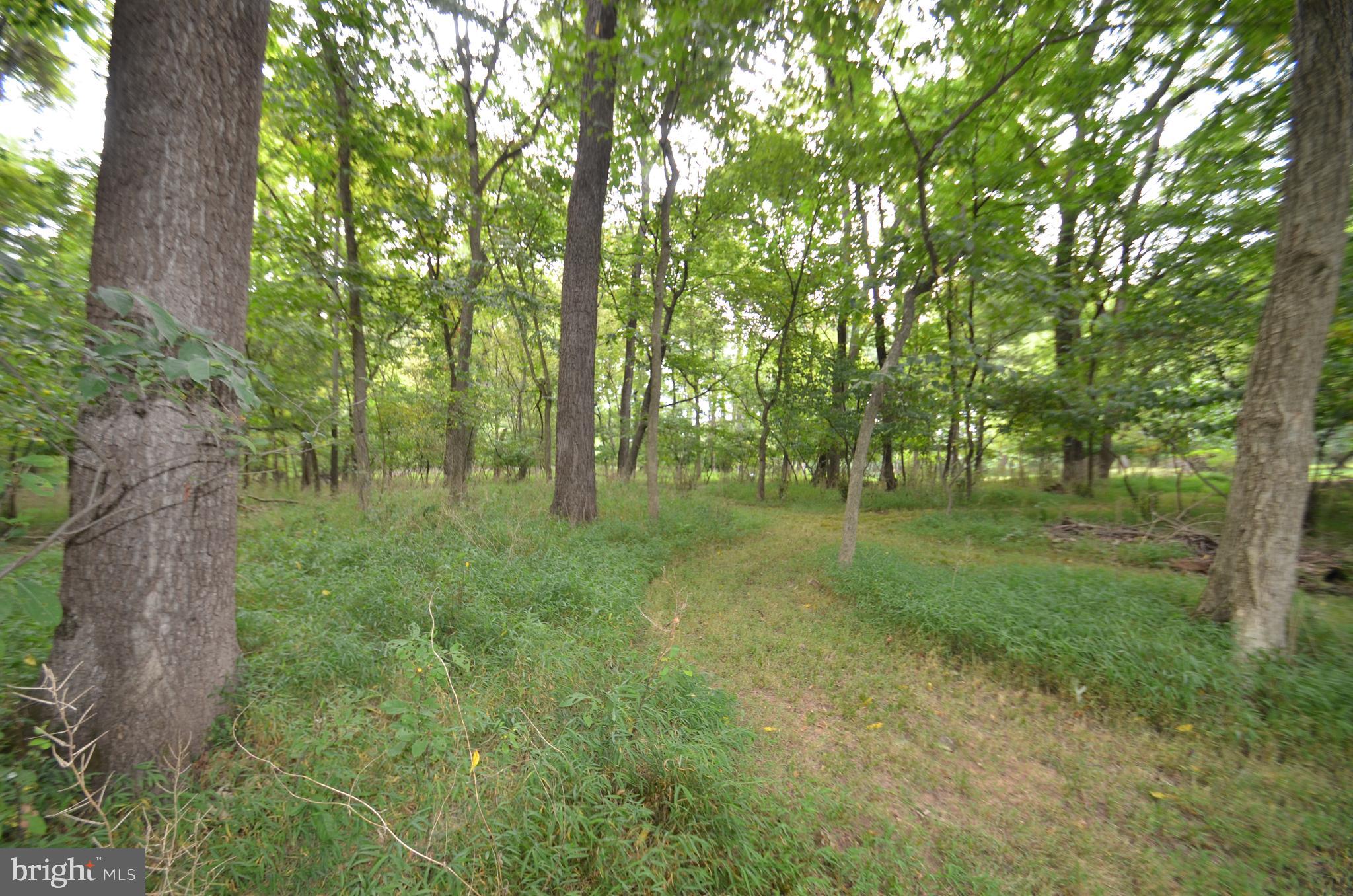 Bolyn Road Purcellville, VA 20132 - Photo 9 of 15 Mowed paths