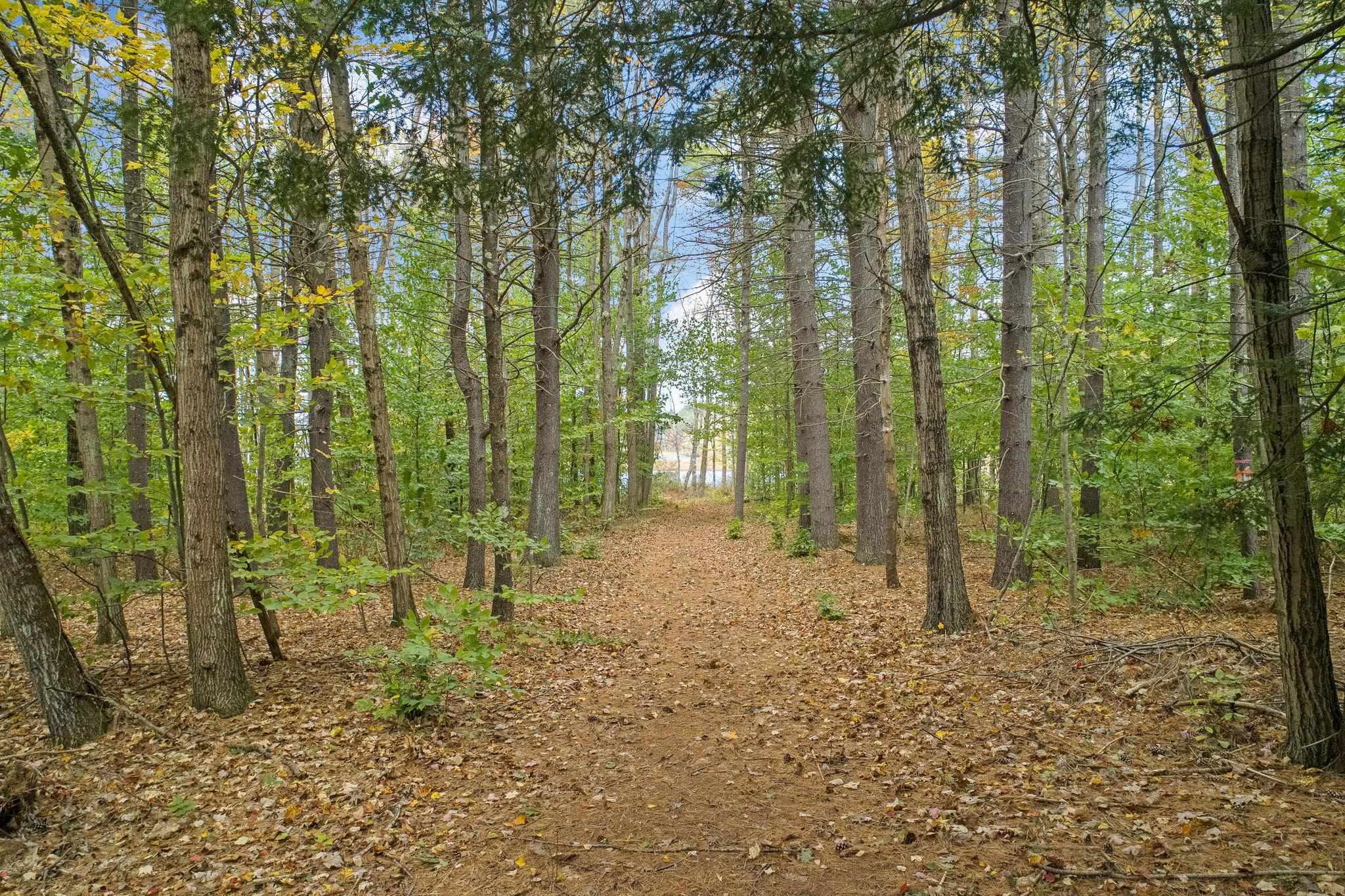387 Old Bennington Road Greenfield, NH 03047 - Photo 6 of 40 Gallery Image 6