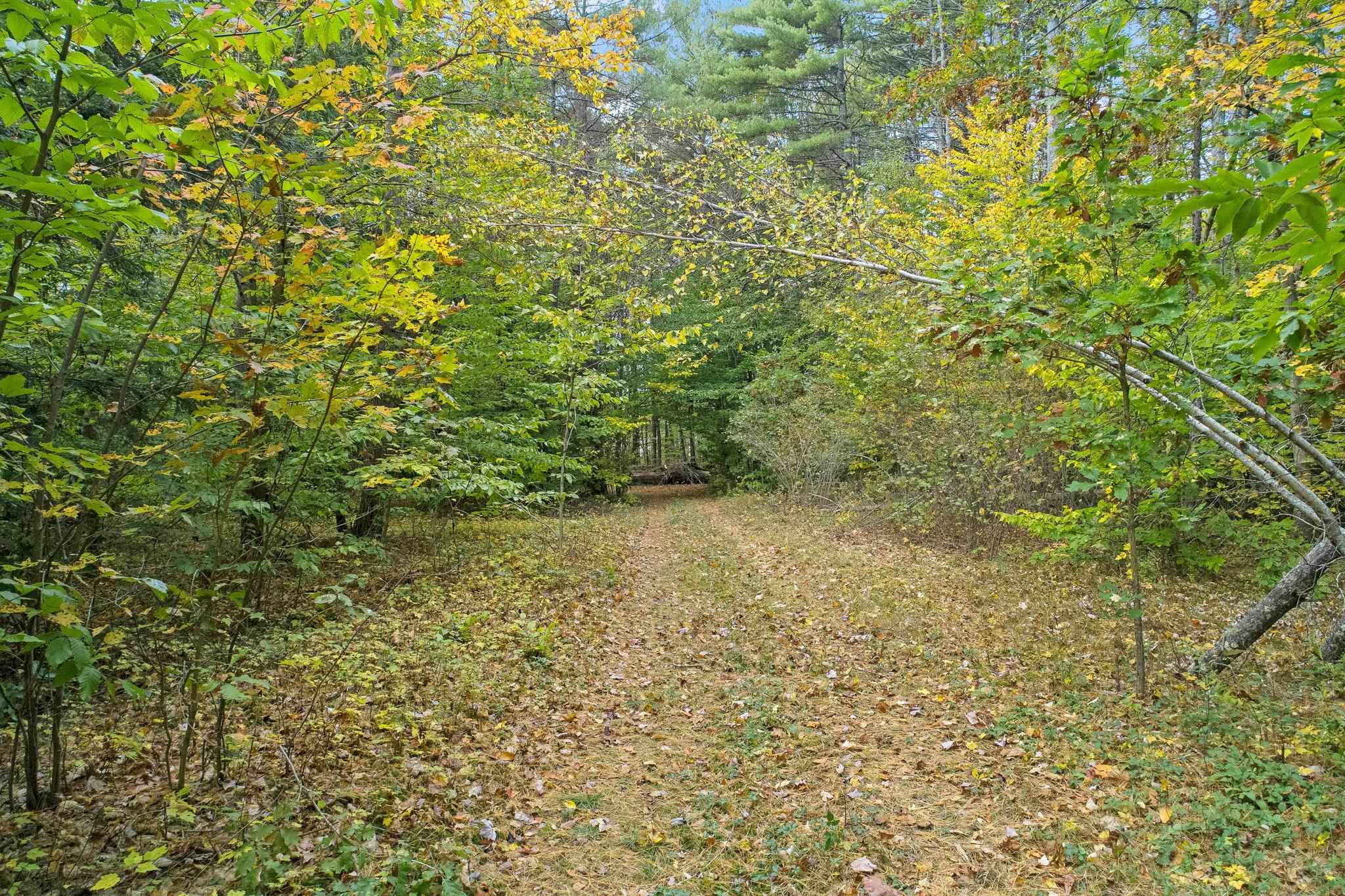 387 Old Bennington Road Greenfield, NH 03047 - Photo 7 of 40 Gallery Image 7