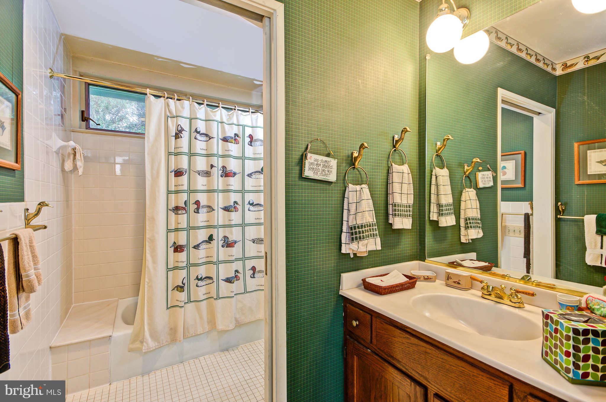 7308 Stafford Road Alexandria, VA 22307 - Photo 10 of 30 a bathroom with a sink mirror and a shower