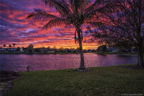 a view of a yard in a backyard