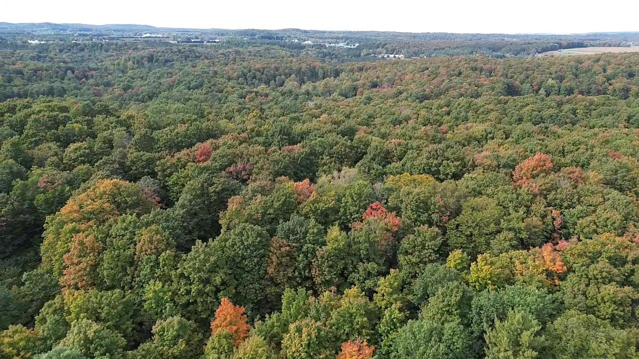 0 South Fritz Road Empire, MI 49630 - Photo 6 of 28
