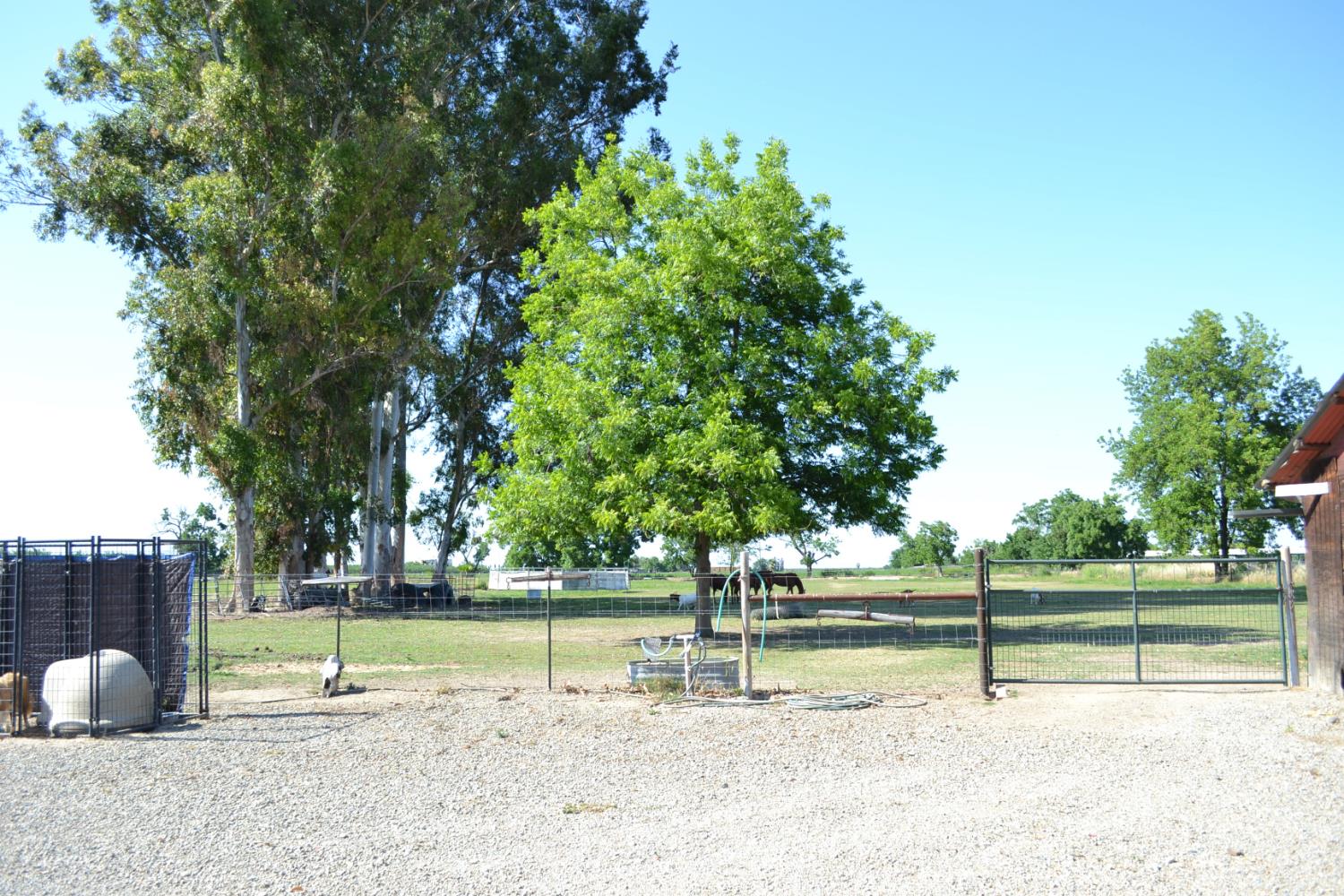 821 Orestimba Road Newman, CA 95360 - Photo 33 of 34
