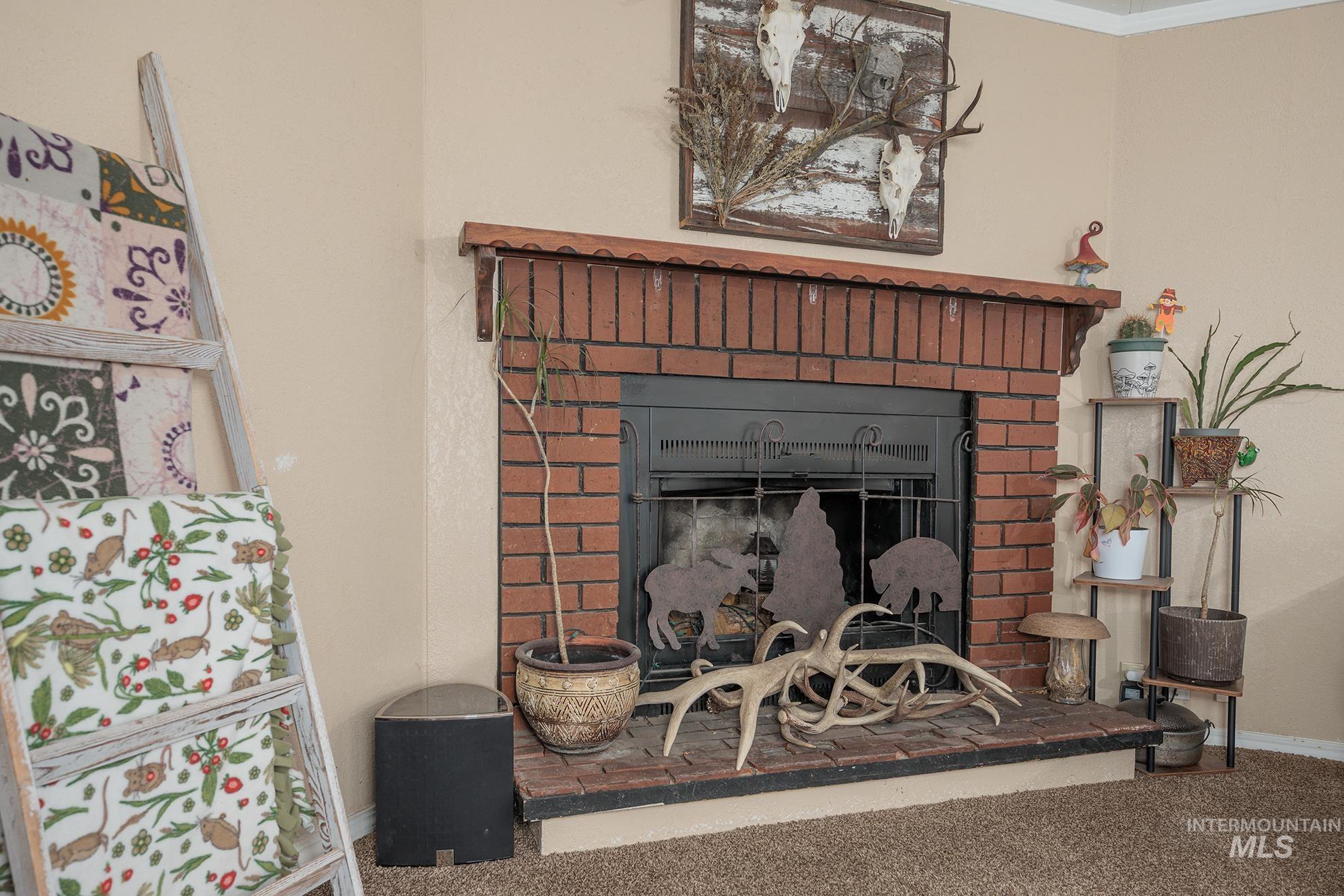 1165 Pioneer Road Weiser, ID 83672 - Photo 11 of 24 Detailed view of a fireplace and carpet flooring