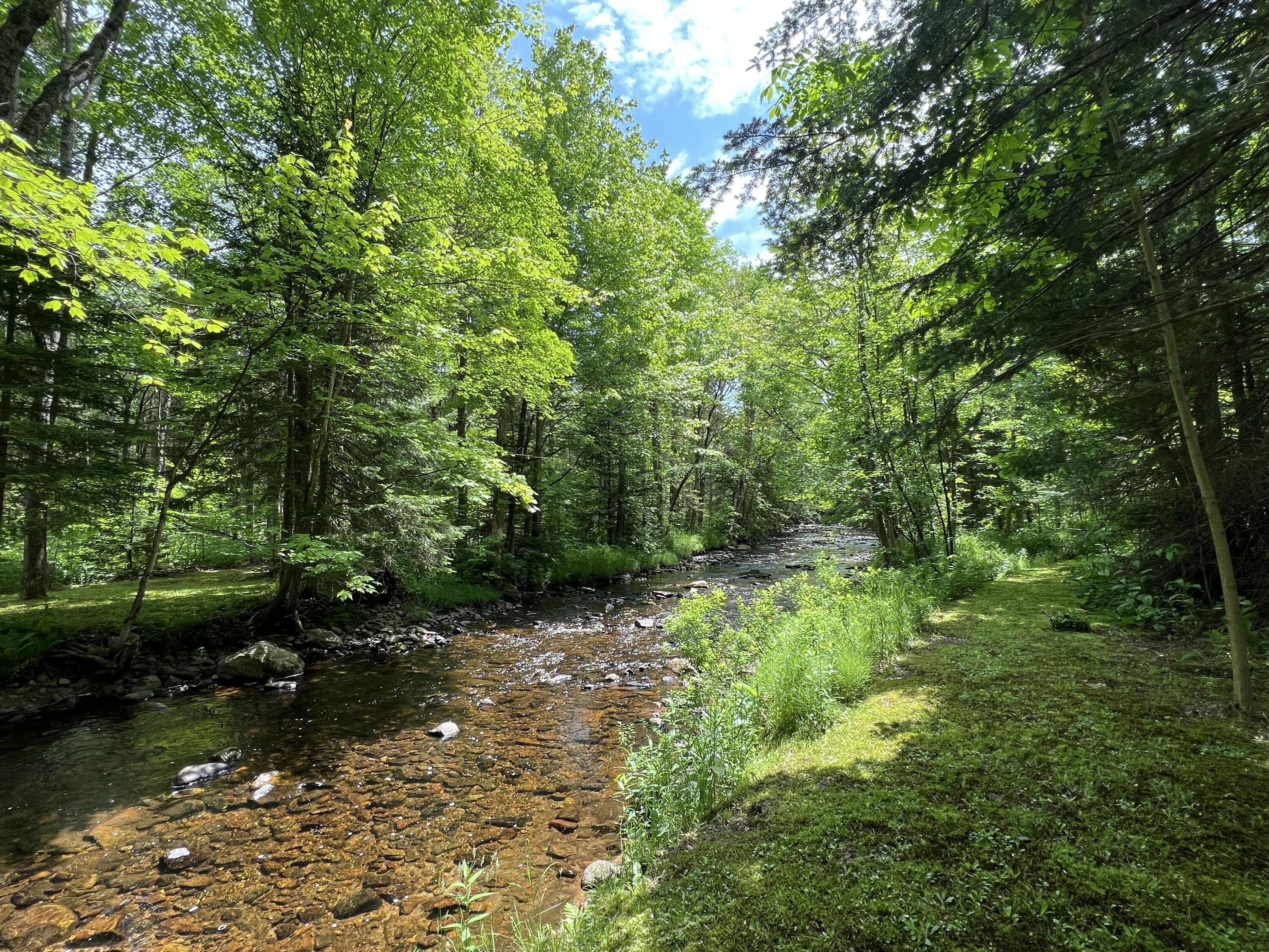 0 Bunker Hill Road Chateaugay, NY 12920 - Photo 19 of 42