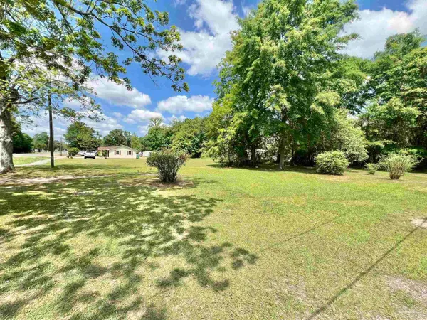 a view of a tree in a yard
