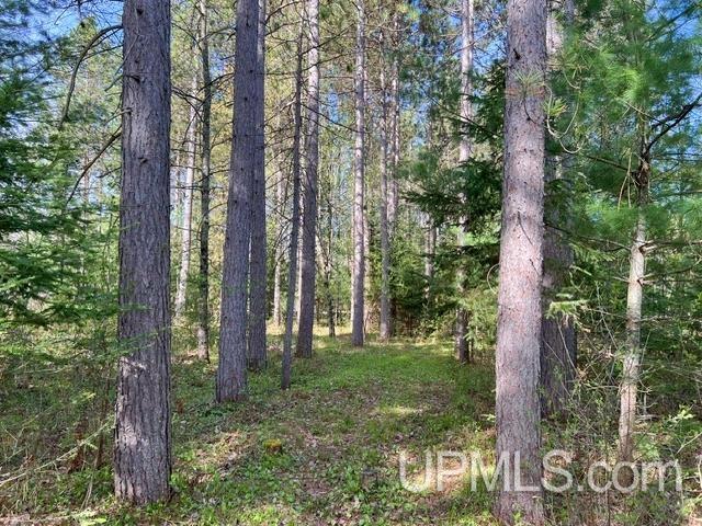 T-wi Wi 54156 Road Pembine, WI 54156 - Photo 6 of 17