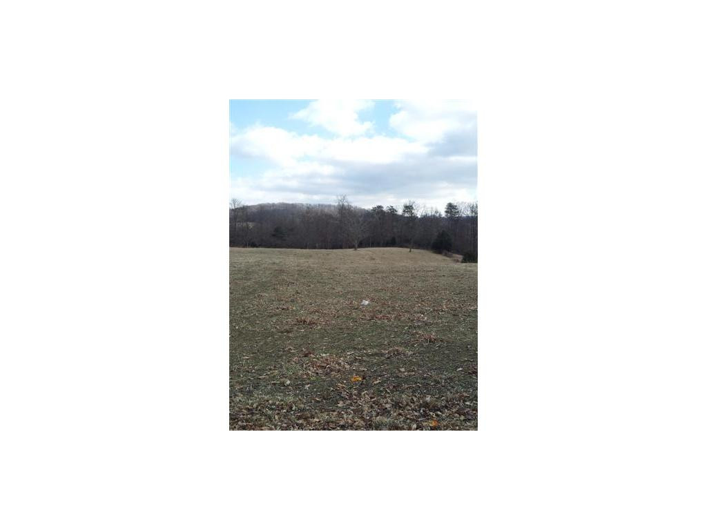322 Roy Green Road Telford, TN 37690 - Photo 2 of 4 Photo 2