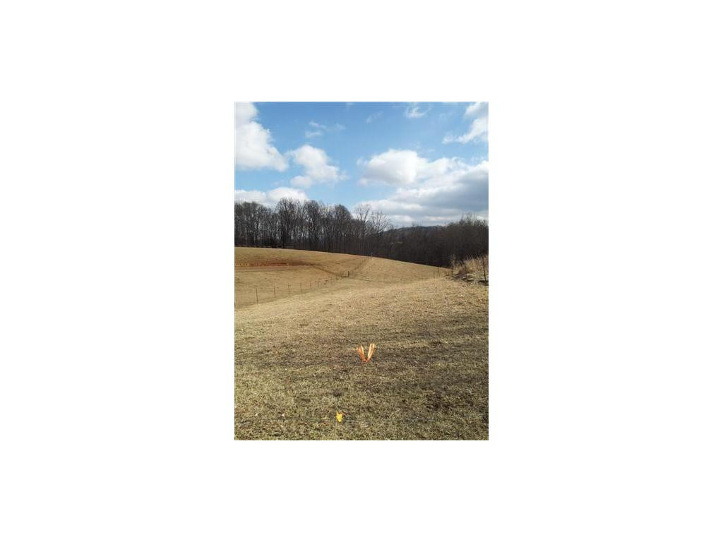 322 Roy Green Road Telford, TN 37690 - Photo 3 of 4 Photo 3