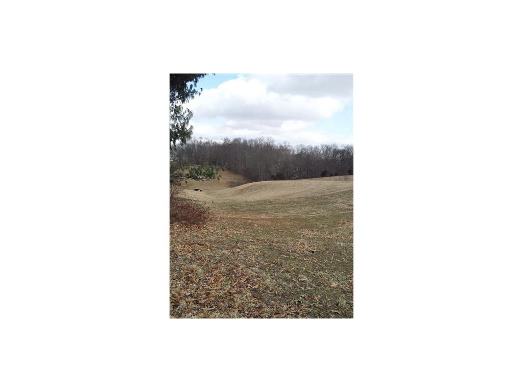 322 Roy Green Road Telford, TN 37690 - Photo 4 of 4 Photo 4