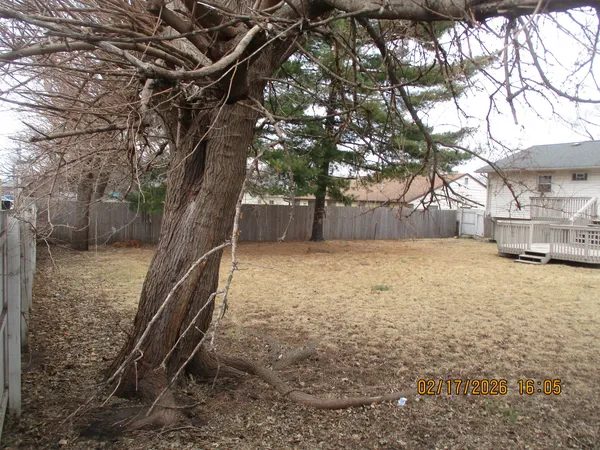 a view of a yard with a tree