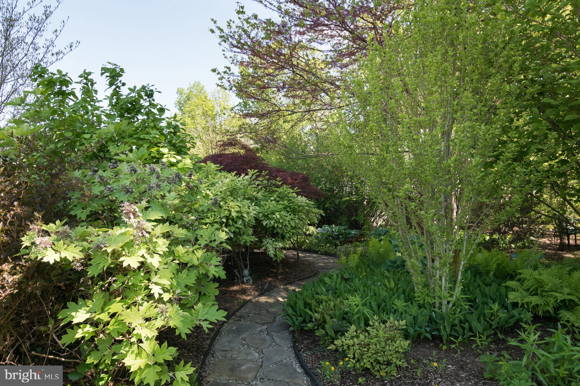 35 Colfax Road Skillman, NJ 08558 - Photo 46 of 49