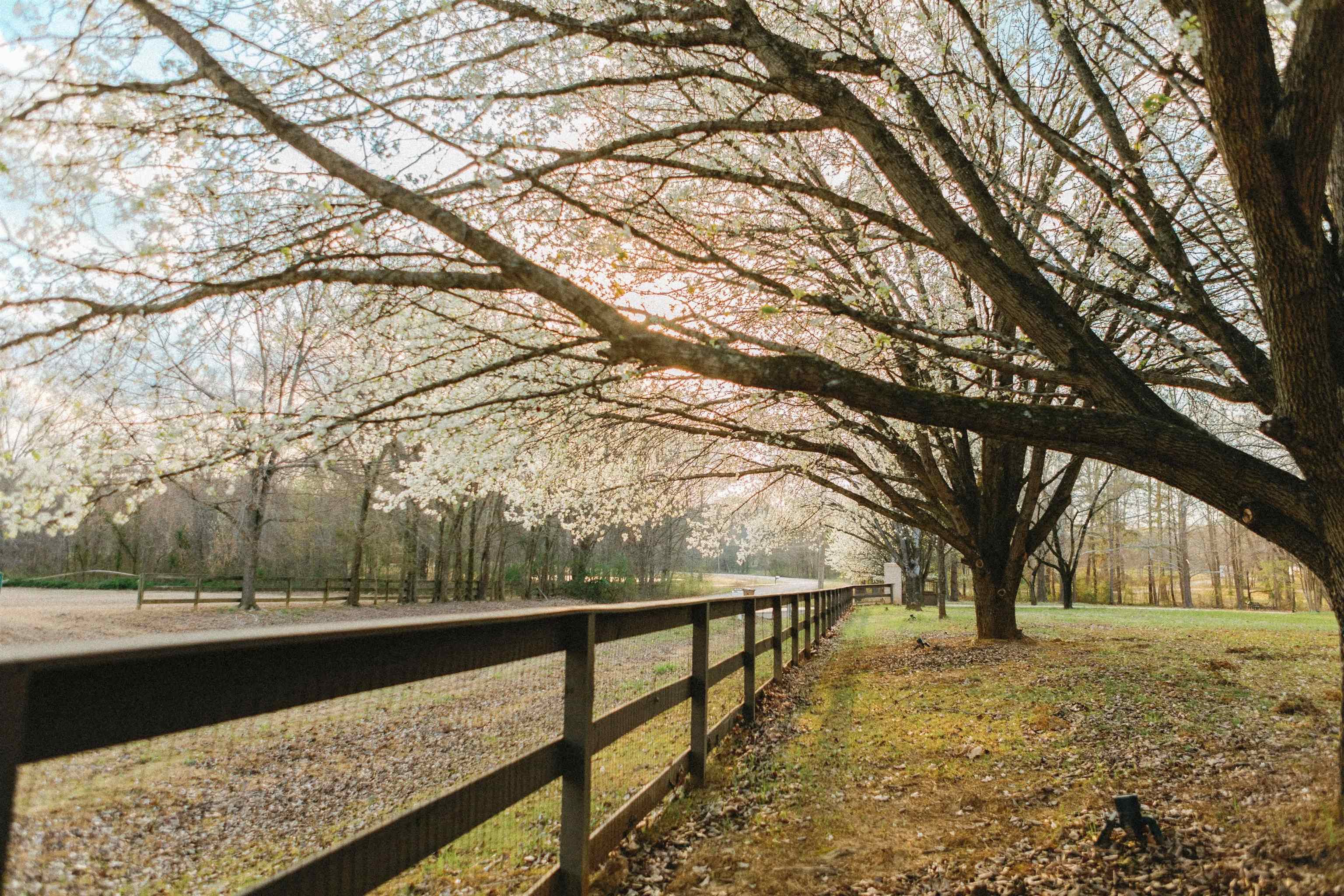 565 Schaeffer Loop Eads, TN 38028 - Photo 23 of 25