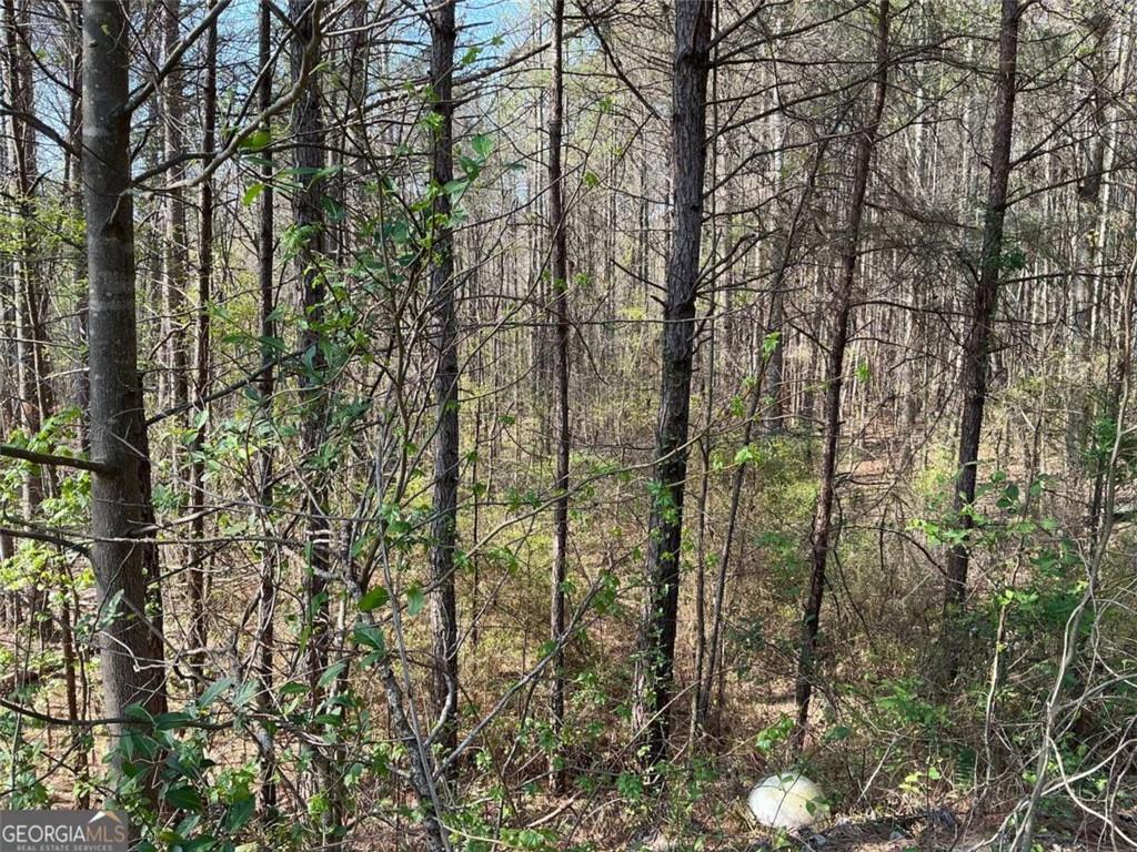 262 White Creek Loop Rockmart, GA 30153 - Photo 2 of 8 a view of a forest with a tree