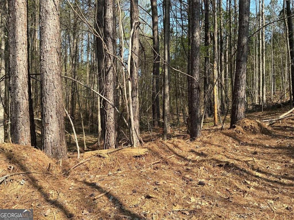 262 White Creek Loop Rockmart, GA 30153 - Photo 3 of 8 a view of a backyard of the house