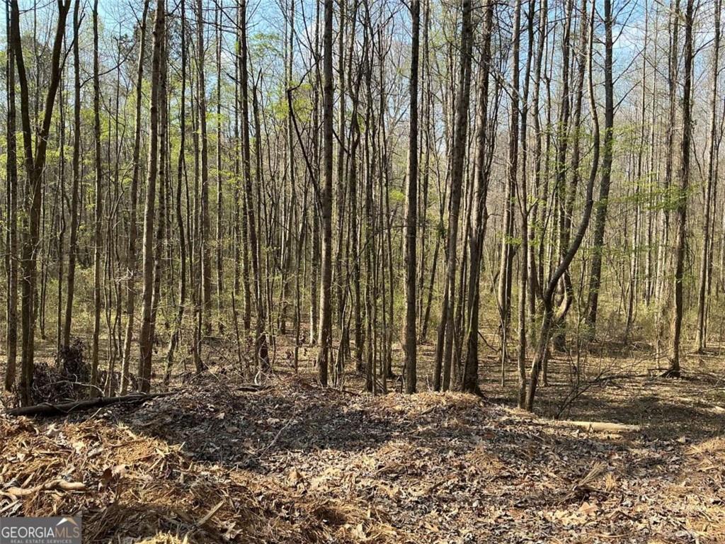 262 White Creek Loop Rockmart, GA 30153 - Photo 4 of 8 a view of a backyard with pathway