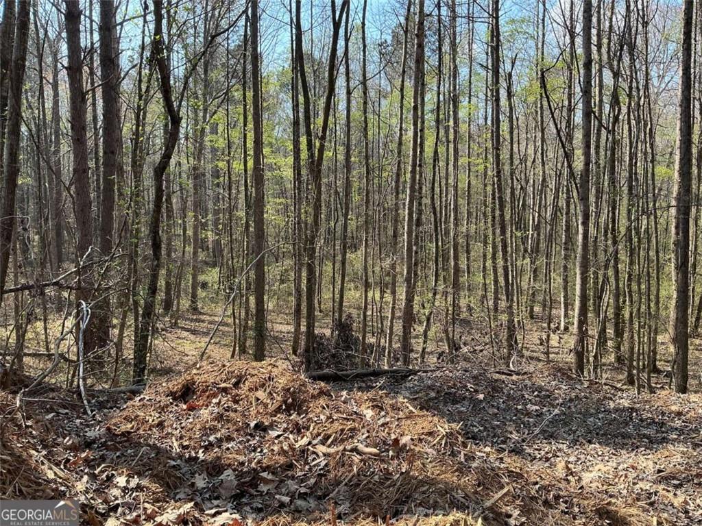 262 White Creek Loop Rockmart, GA 30153 - Photo 5 of 8 a view of outdoor space with garden