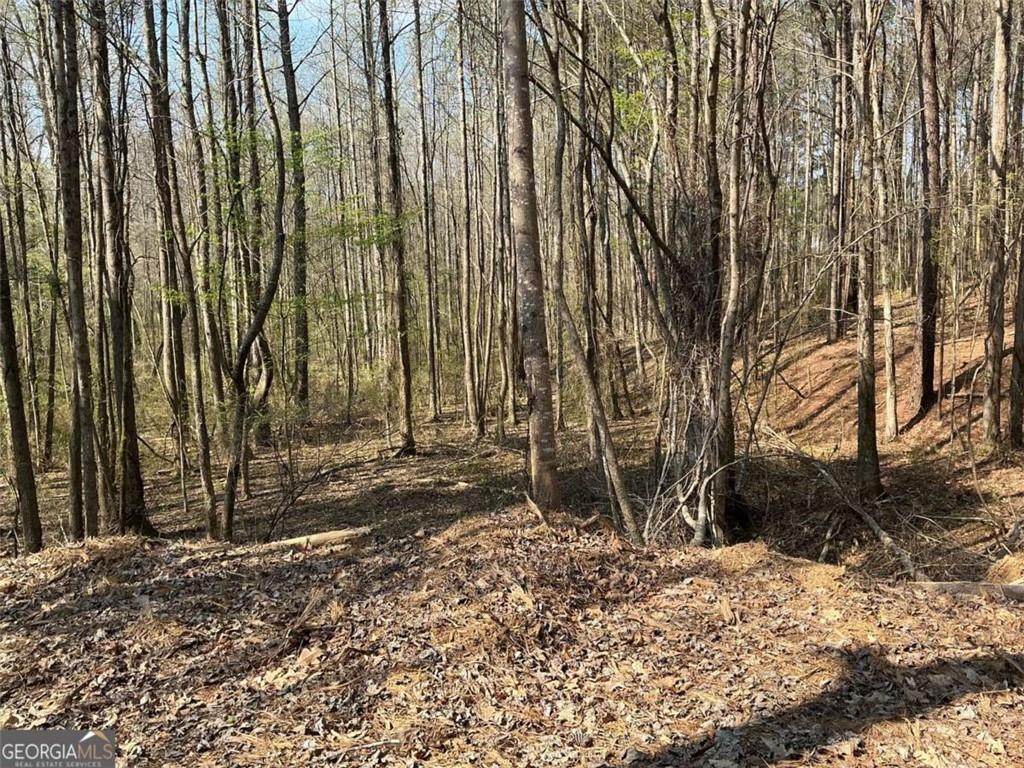 262 White Creek Loop Rockmart, GA 30153 - Photo 6 of 8 a backyard of a house with a large tree