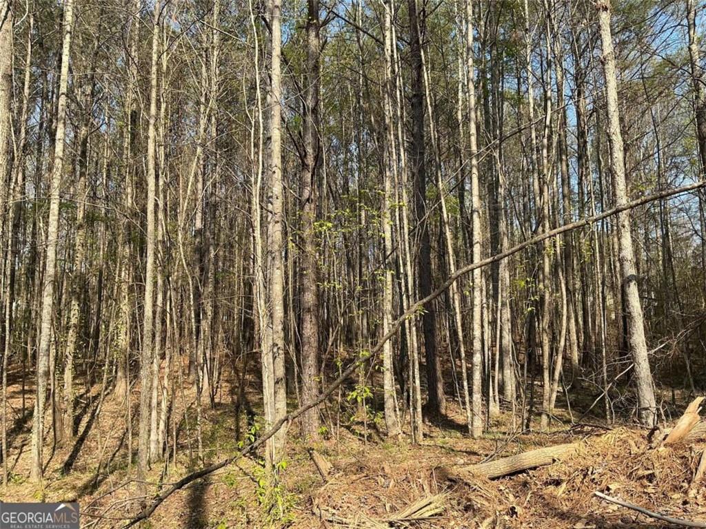 262 White Creek Loop Rockmart, GA 30153 - Photo 7 of 8 a view of wooden fence