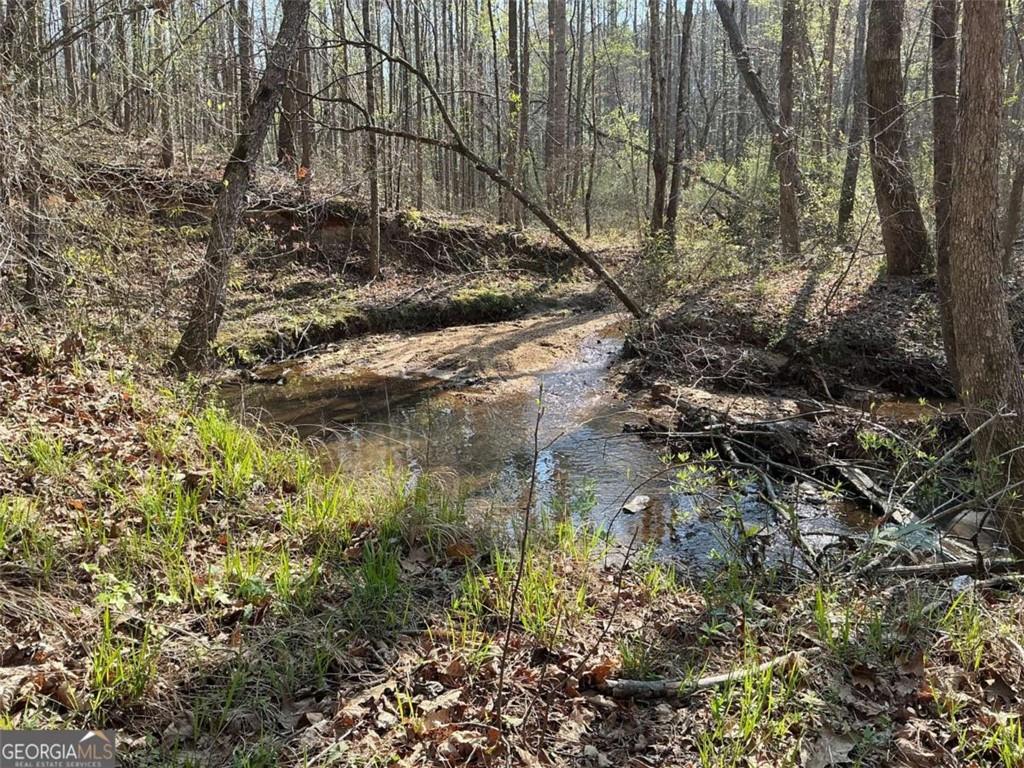 262 White Creek Loop Rockmart, GA 30153 - Photo 8 of 8 a view of a yard with large trees