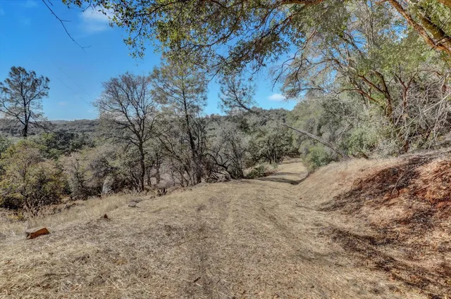 a view of a backyard of the house
