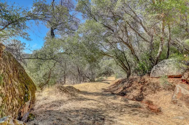 a view of a dry yard with trees in the background