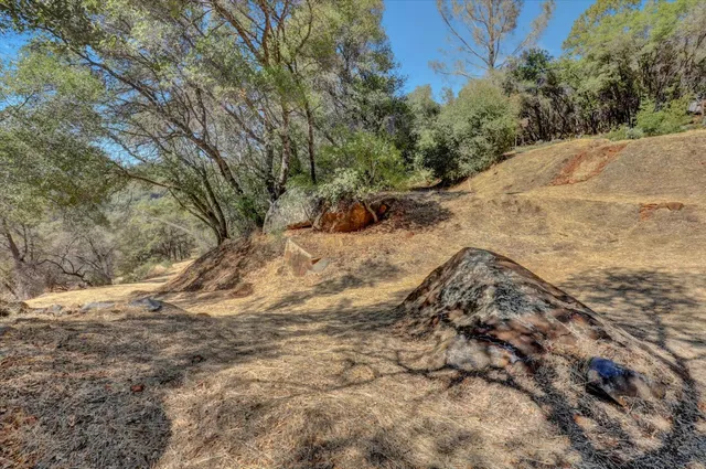 a view of a backyard with couches and a table