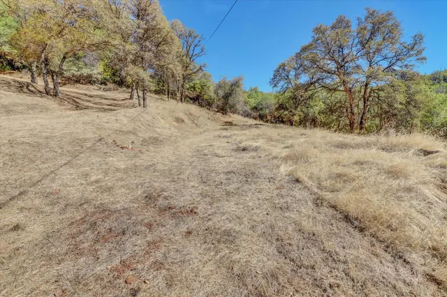 a view of a dry yard with trees in the background