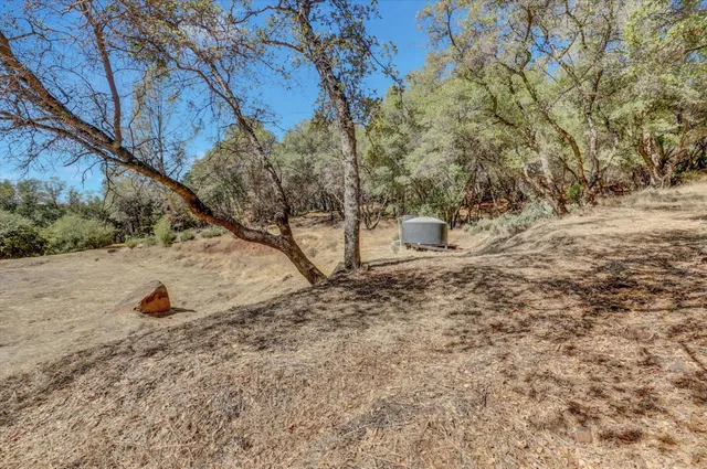 a view of dirt yard with a tree