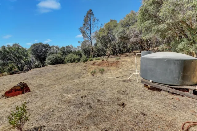 a view of a yard with plants and trees