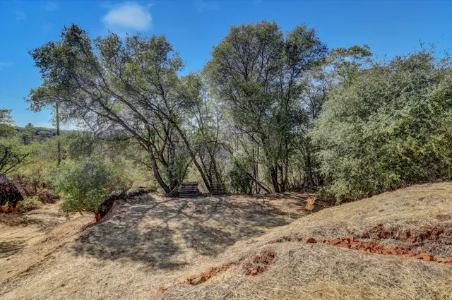 a view of empty space with trees