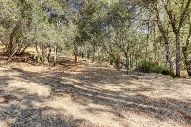 a backyard of a house with lots of green space