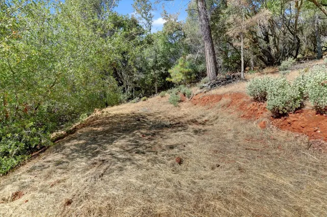 a view of a snow on the side of a road