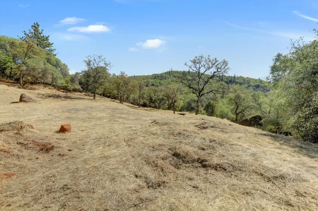 a view of a backyard of the house