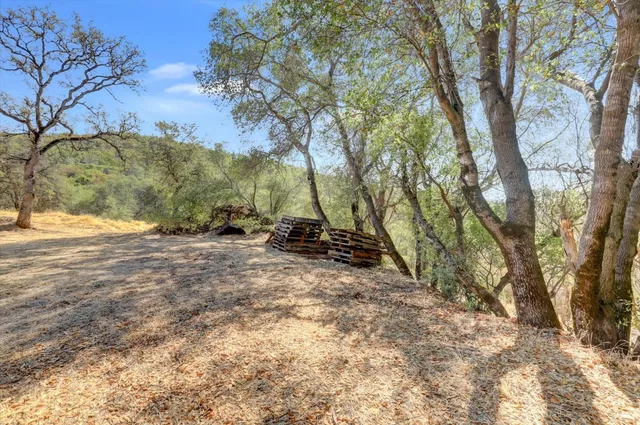 a view of a yard with a tree