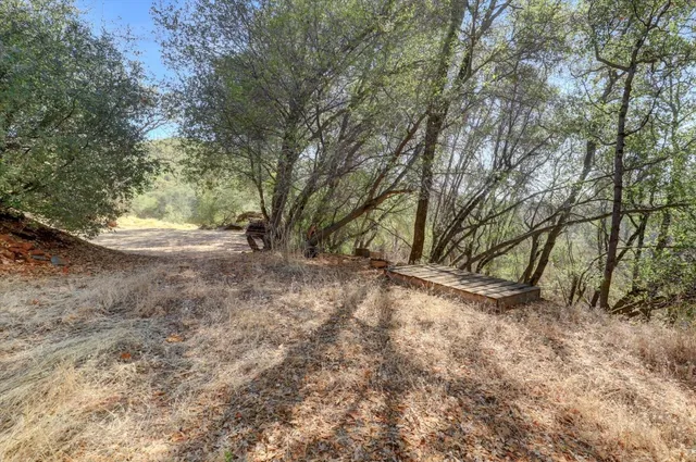 a view of backyard of a house with large trees