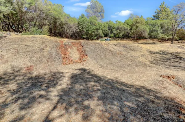 a view of a dry field with trees in the background
