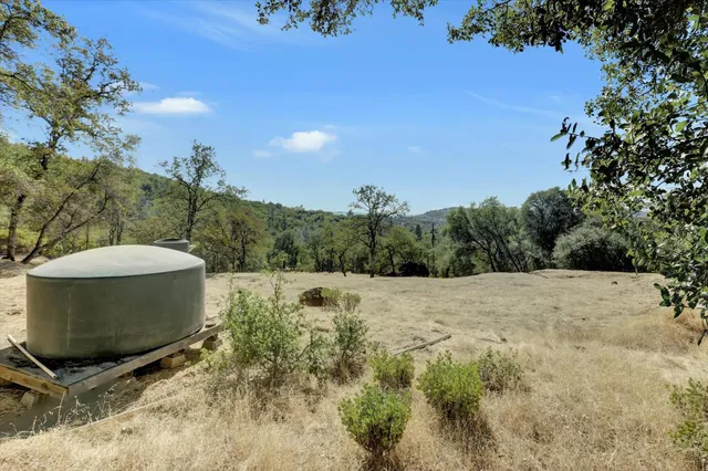 a wooden bench with top of a forest