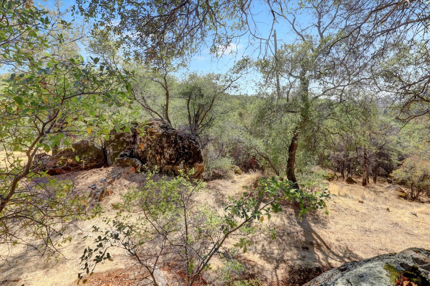 12920 Woodlake Road Grass Valley, CA 95949 - Photo 52 of 99