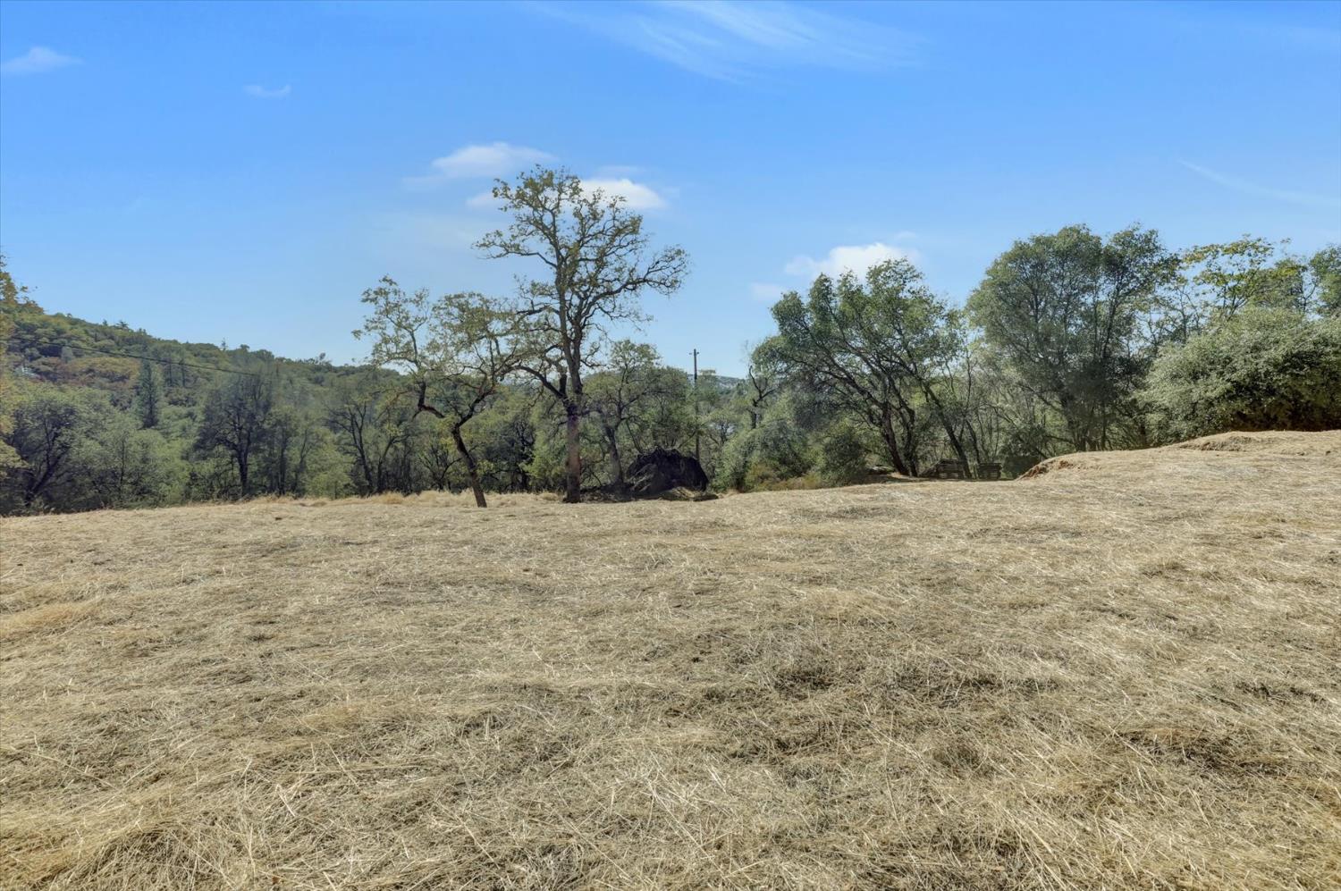 12920 Woodlake Road Grass Valley, CA 95949 - Photo 66 of 99