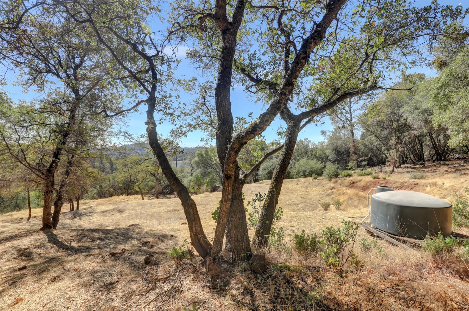 12920 Woodlake Road Grass Valley, CA 95949 - Photo 69 of 99