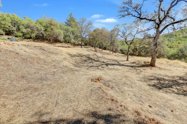 a view of a yard with a tree