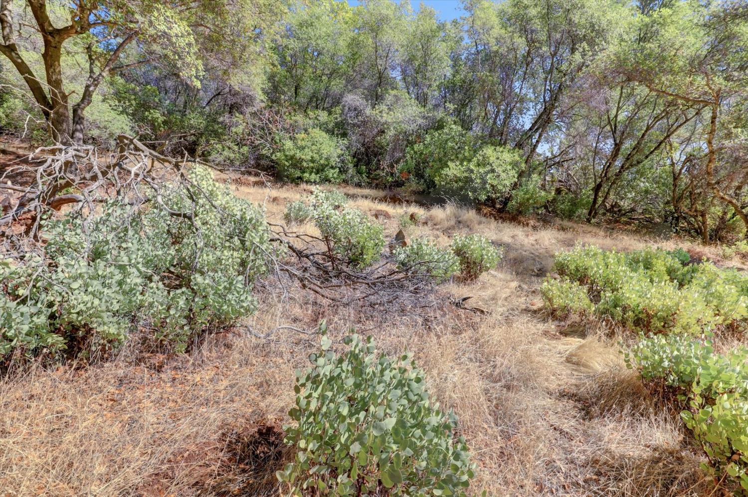 12920 Woodlake Road Grass Valley, CA 95949 - Photo 73 of 99