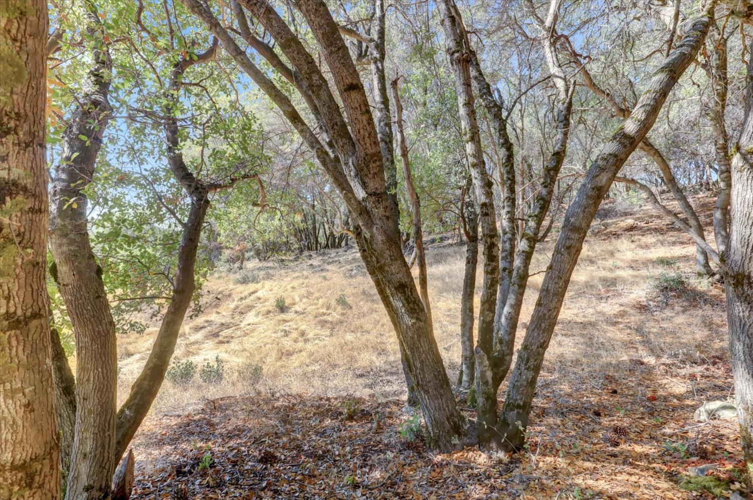 12920 Woodlake Road Grass Valley, CA 95949 - Photo 74 of 99
