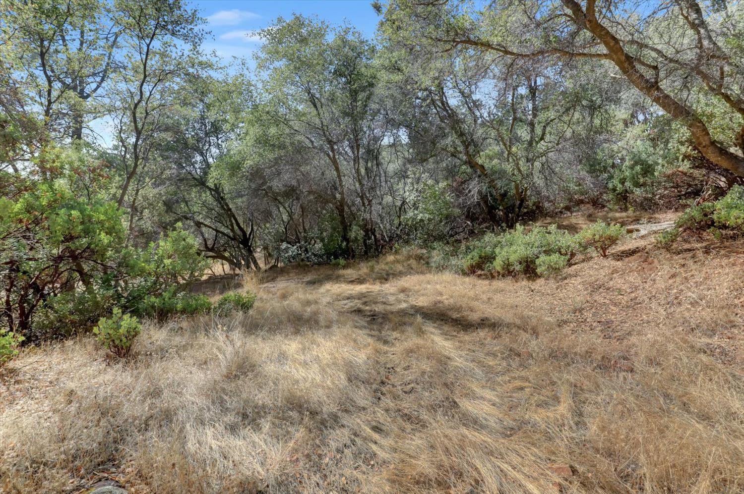 12920 Woodlake Road Grass Valley, CA 95949 - Photo 77 of 99