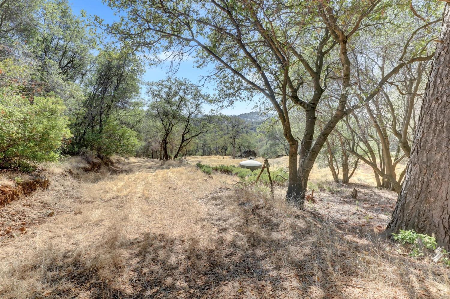 12920 Woodlake Road Grass Valley, CA 95949 - Photo 78 of 99