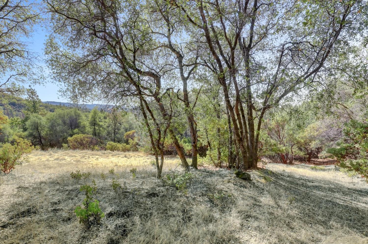 12920 Woodlake Road Grass Valley, CA 95949 - Photo 79 of 99